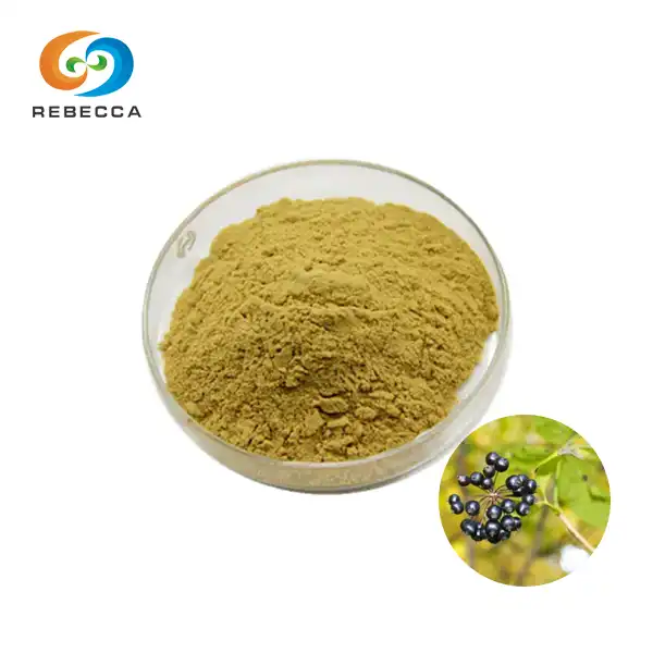 Siberian Ginseng Extract Powder